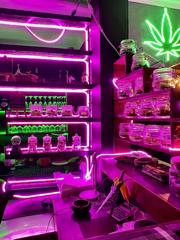 Elevated Hype Leaf Lounge 1