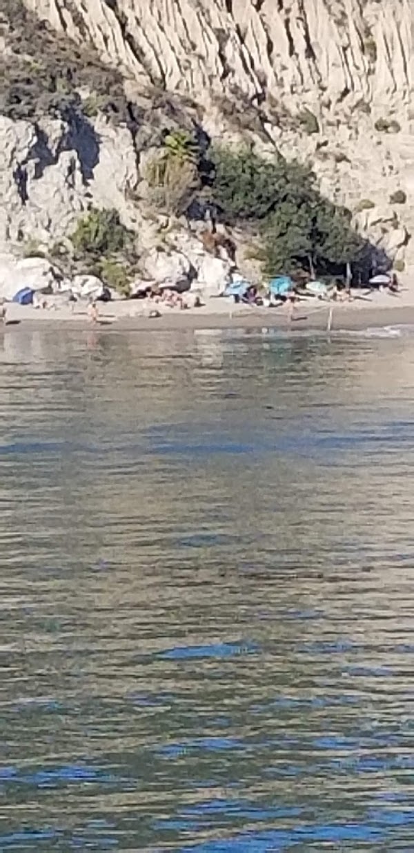 Pirate's Cove 3
