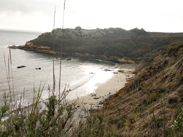 Pirate's Cove 2