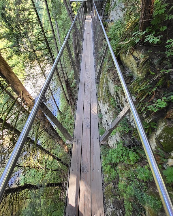 Capilano Suspension Bridge Park 4