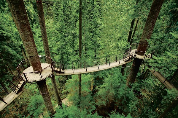 Capilano Suspension Bridge Park 3