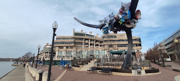 Georgetown 4