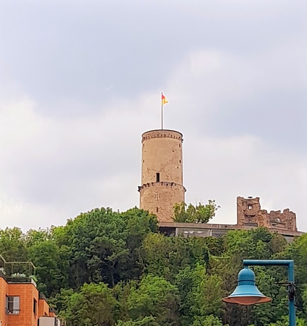 Bonn 5