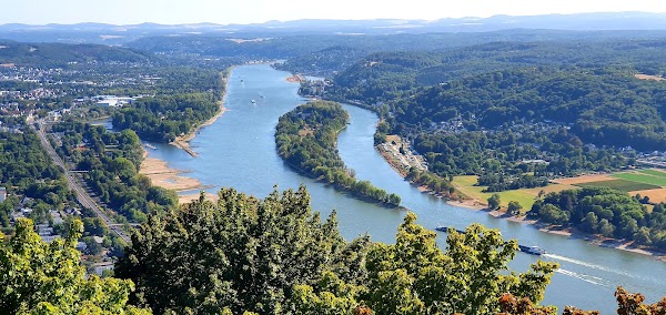 Bonn 4