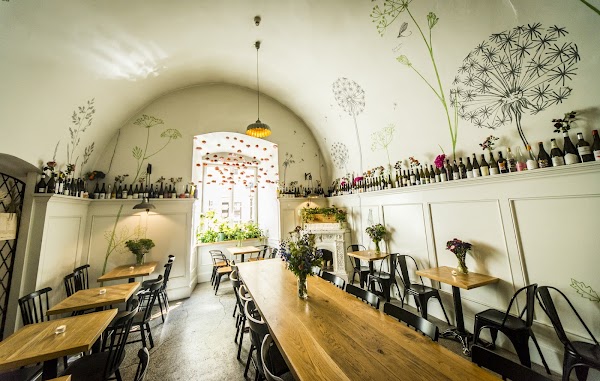 Dzikie Wino Wine Bar 5
