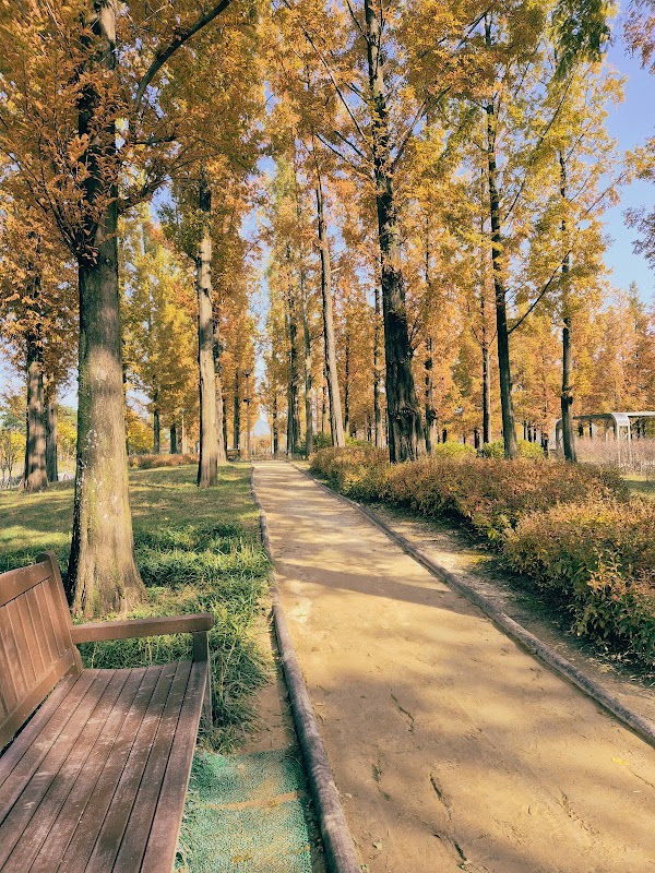 Sejong Central Park 4