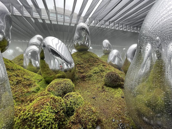 teamLab Planets TOKYO DMM 4