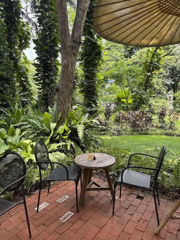 MiVana Organic Forest Coffee