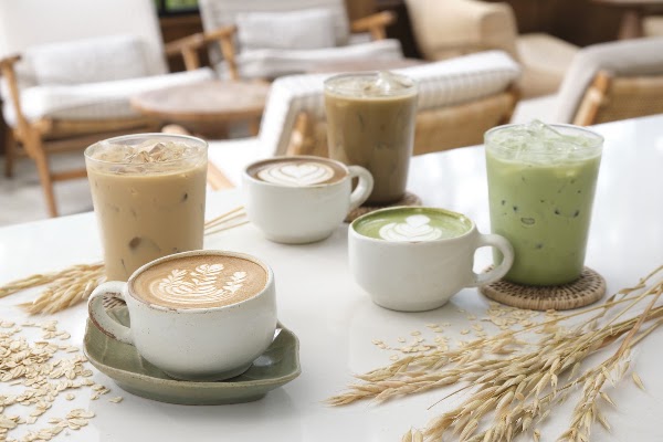 MiVana Organic Forest Coffee 5