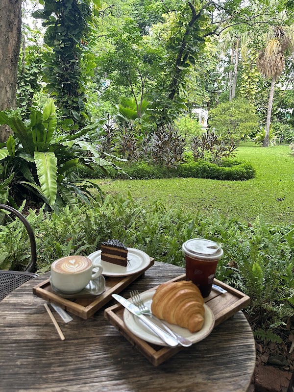 MiVana Organic Forest Coffee 4