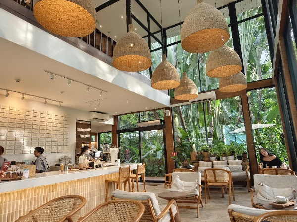 MiVana Organic Forest Coffee 3