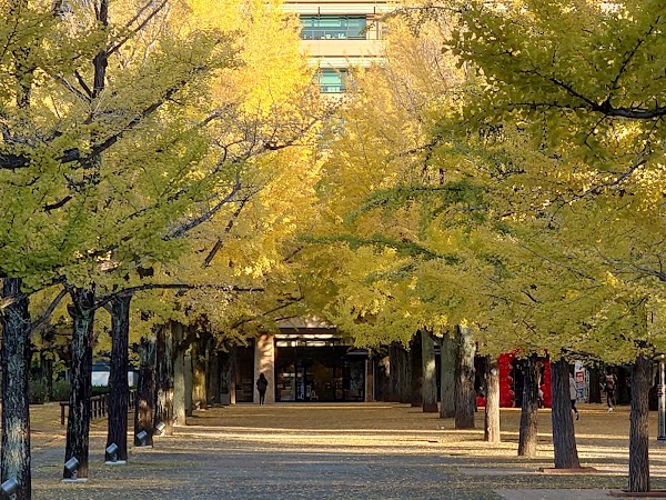 Kumamoto Prefectural Government Office 5