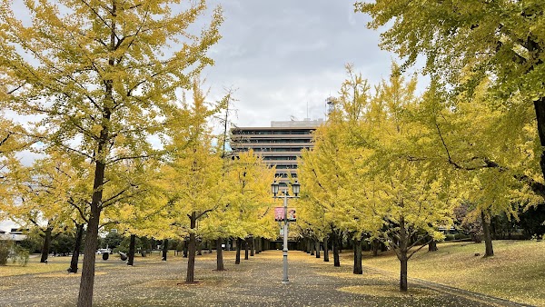 Kumamoto Prefectural Government Office 4