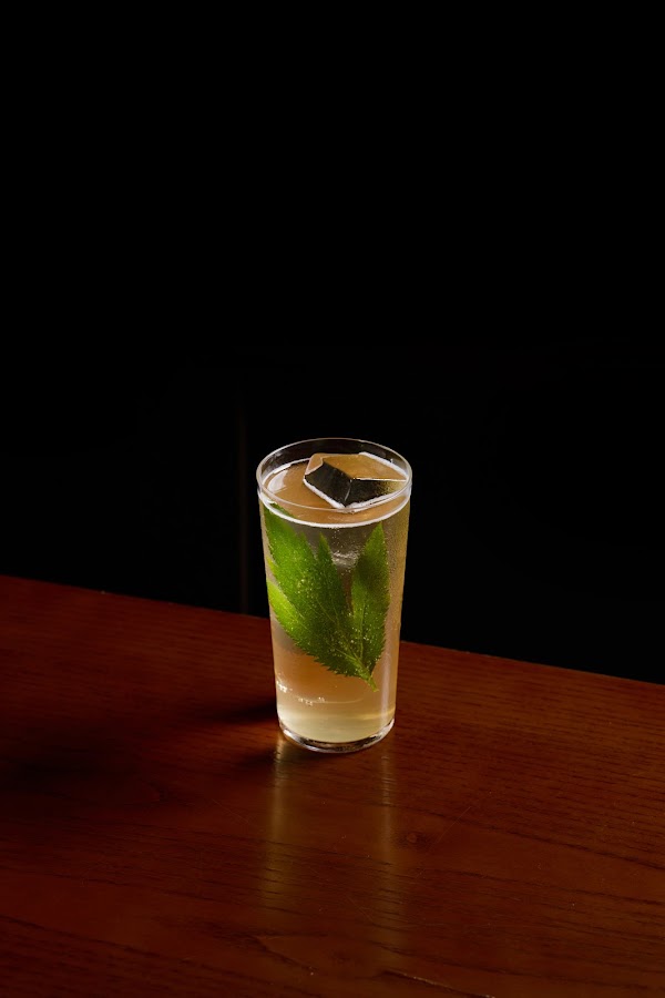 Bar ZEYA 3