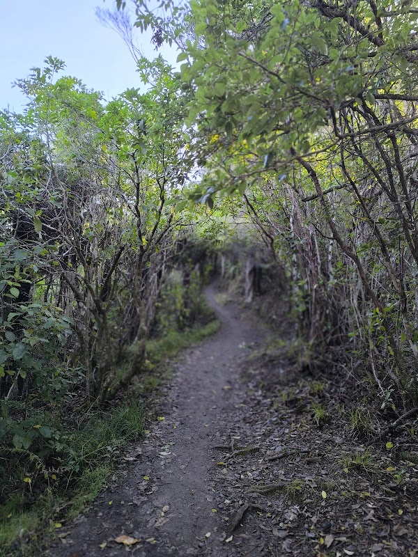 Marlborough Sounds 4
