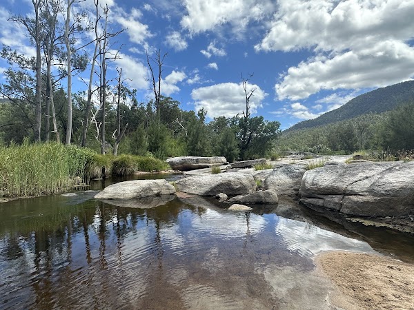 Mann River Nature Reserve 1