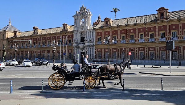 Palacio de San Telmo 5