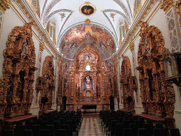 Palacio de San Telmo 3