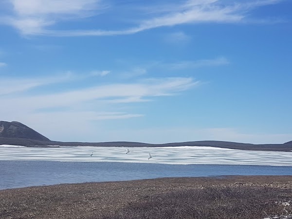 Pingo Canadian Landmark 2
