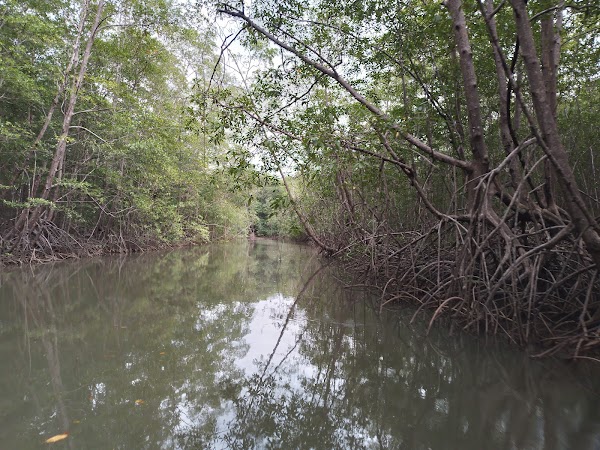 Isla Damas