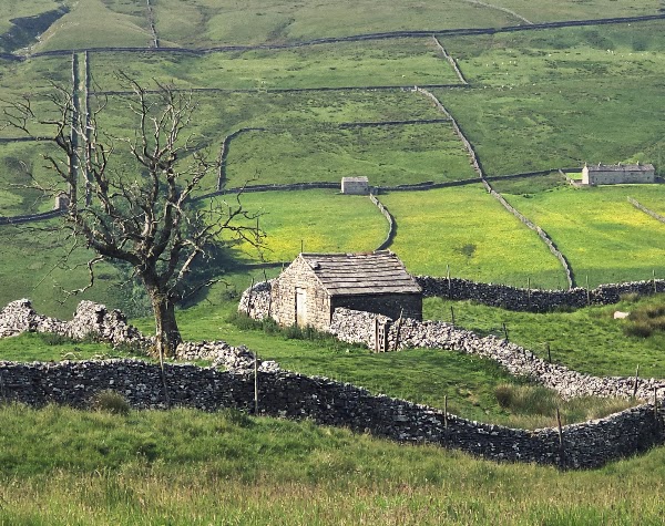 Yorkshire Dales 5
