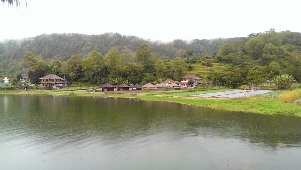 Kedisan