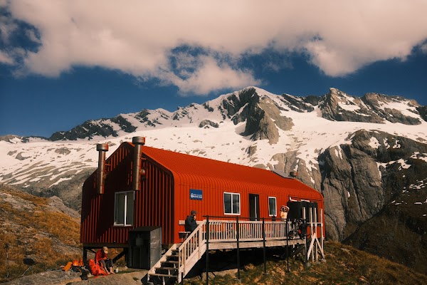 New Zealand 9