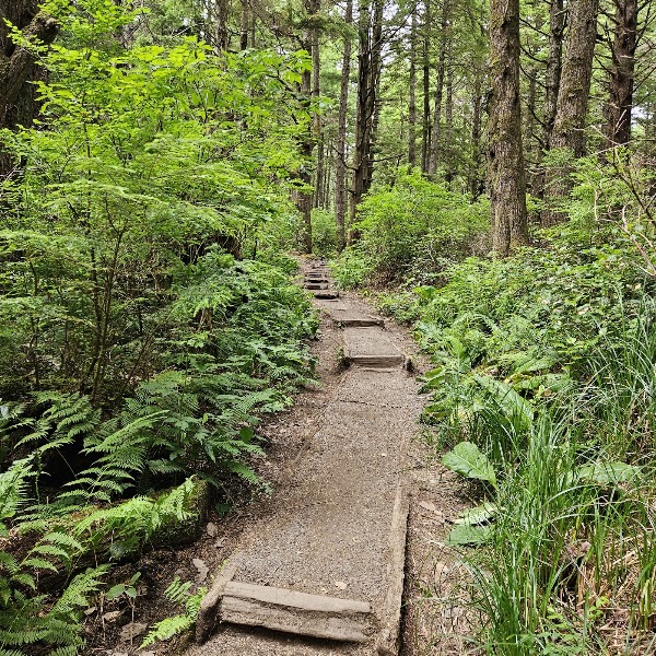Second Beach Trailhead 5