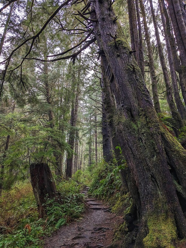 Second Beach Trailhead 4