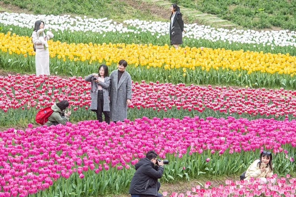 Nanjing Botanical Garden, Memorial Sun Yat-Sen 5