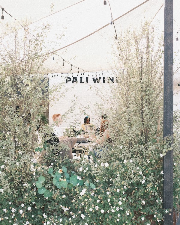 Pali Wine Co. 1