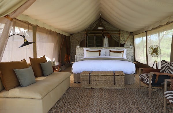 Safari