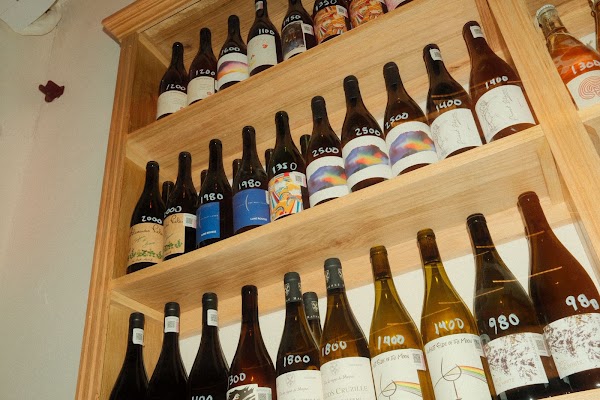 Sorbo 3