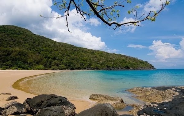 Dam Trau Beach 5
