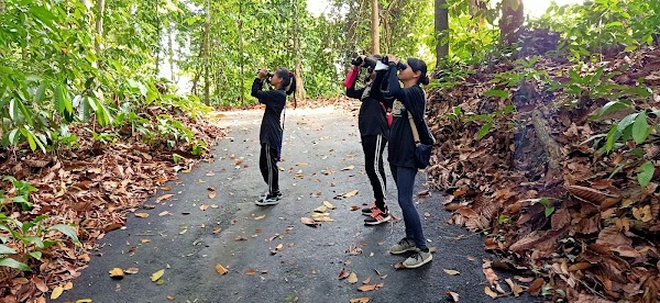 Rainforest Discovery Centre (RDC) 1