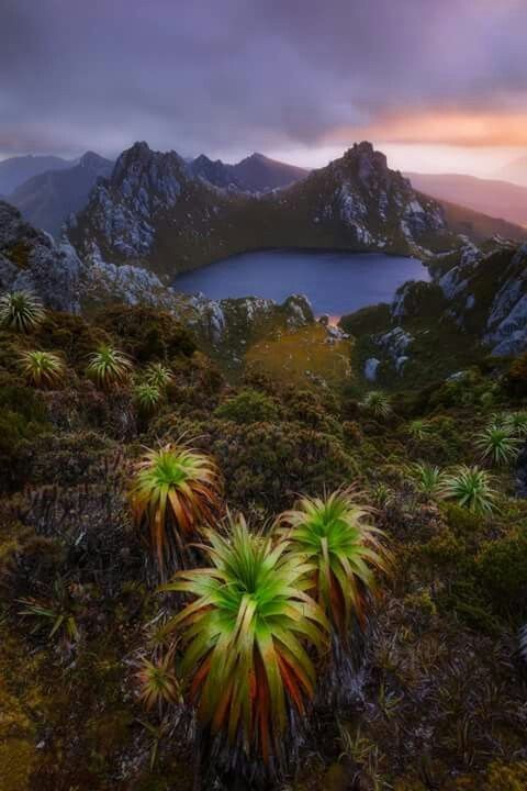 Southwest National Park