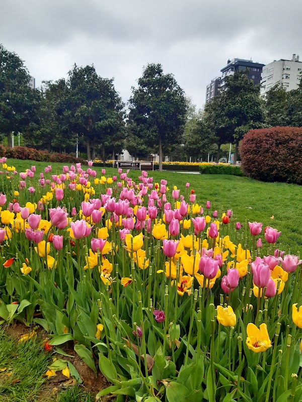 İBB Göztepe 60th Year Park 3