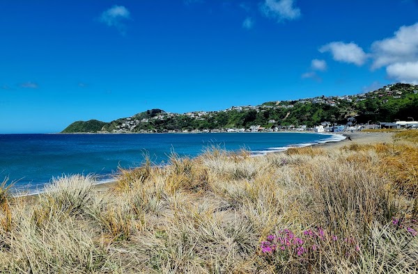Lyall Bay 5