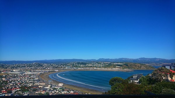 Lyall Bay 4