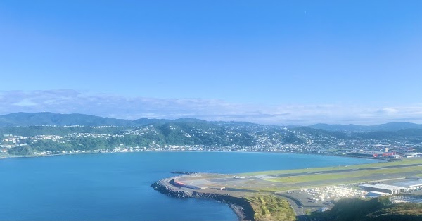 Lyall Bay 3
