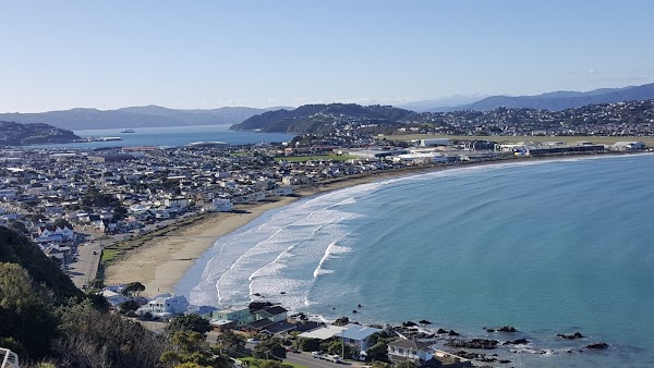 Lyall Bay 2