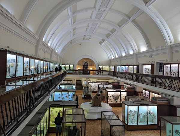 Horniman Museum and Gardens 1
