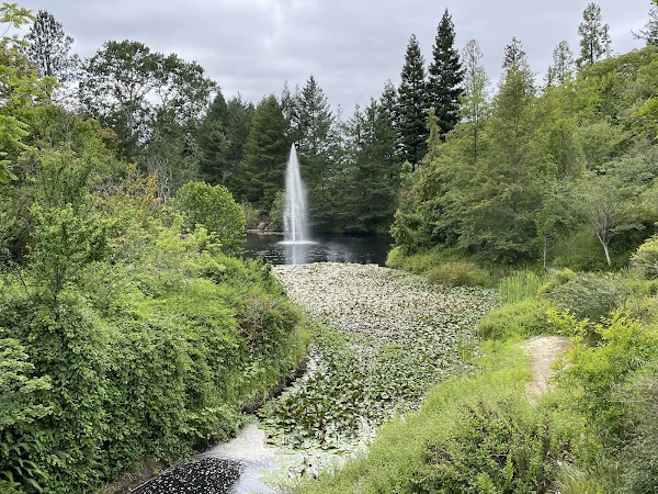 Sonoma Botanical Garden 2