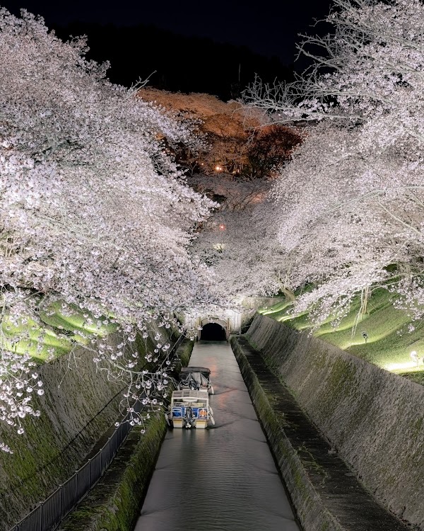 Lake Biwa Canal 4