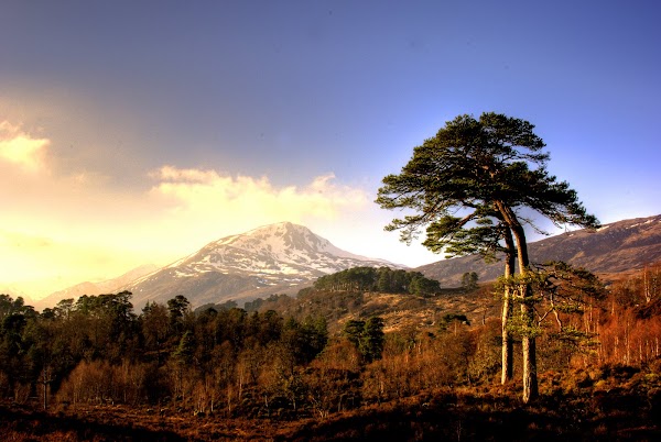 Glen Affric 1