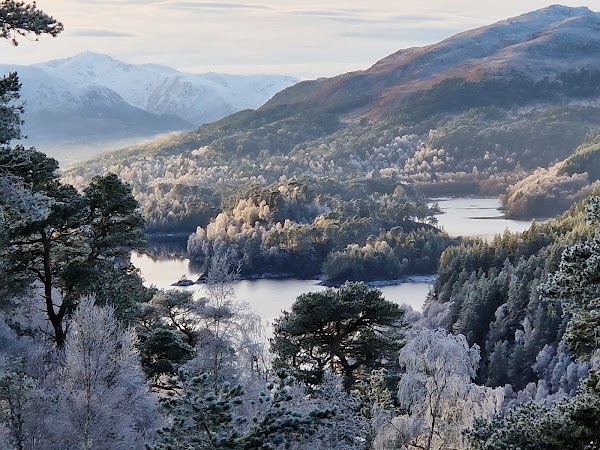 Glen Affric 5