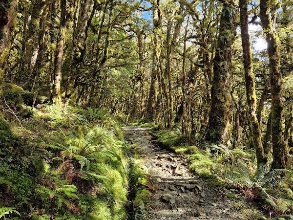 Key Summit Trail 2