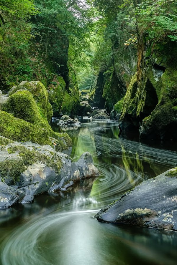 Wales 12