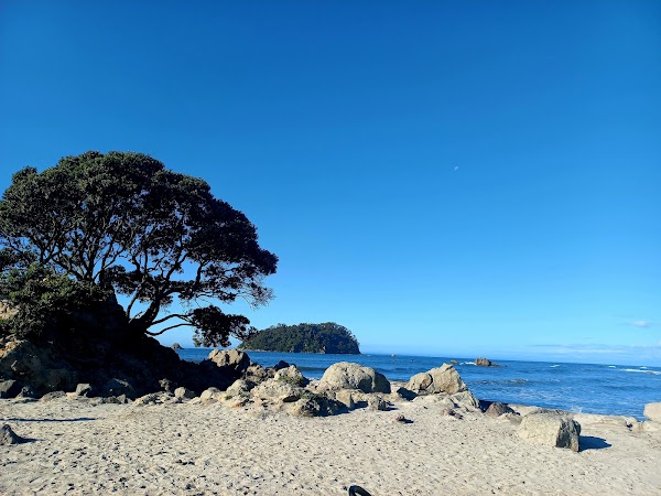 Maunganui Beach 3