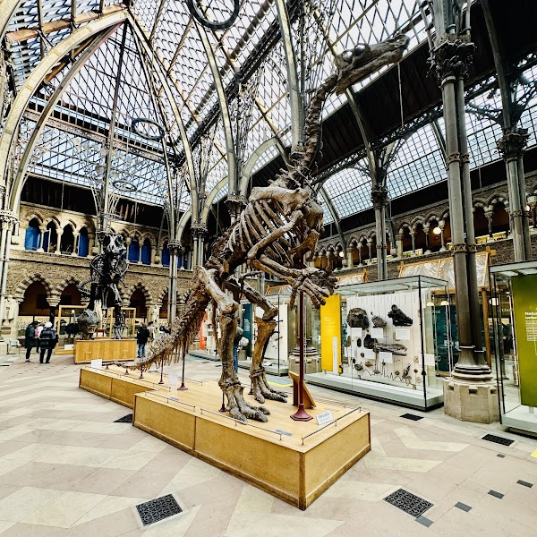 Pitt Rivers Museum 5